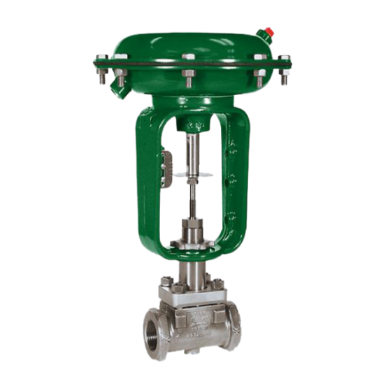 Baumann™ 24000S Stainless Steel Control Valve