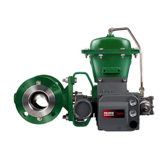 FISHER V-Ball Valves