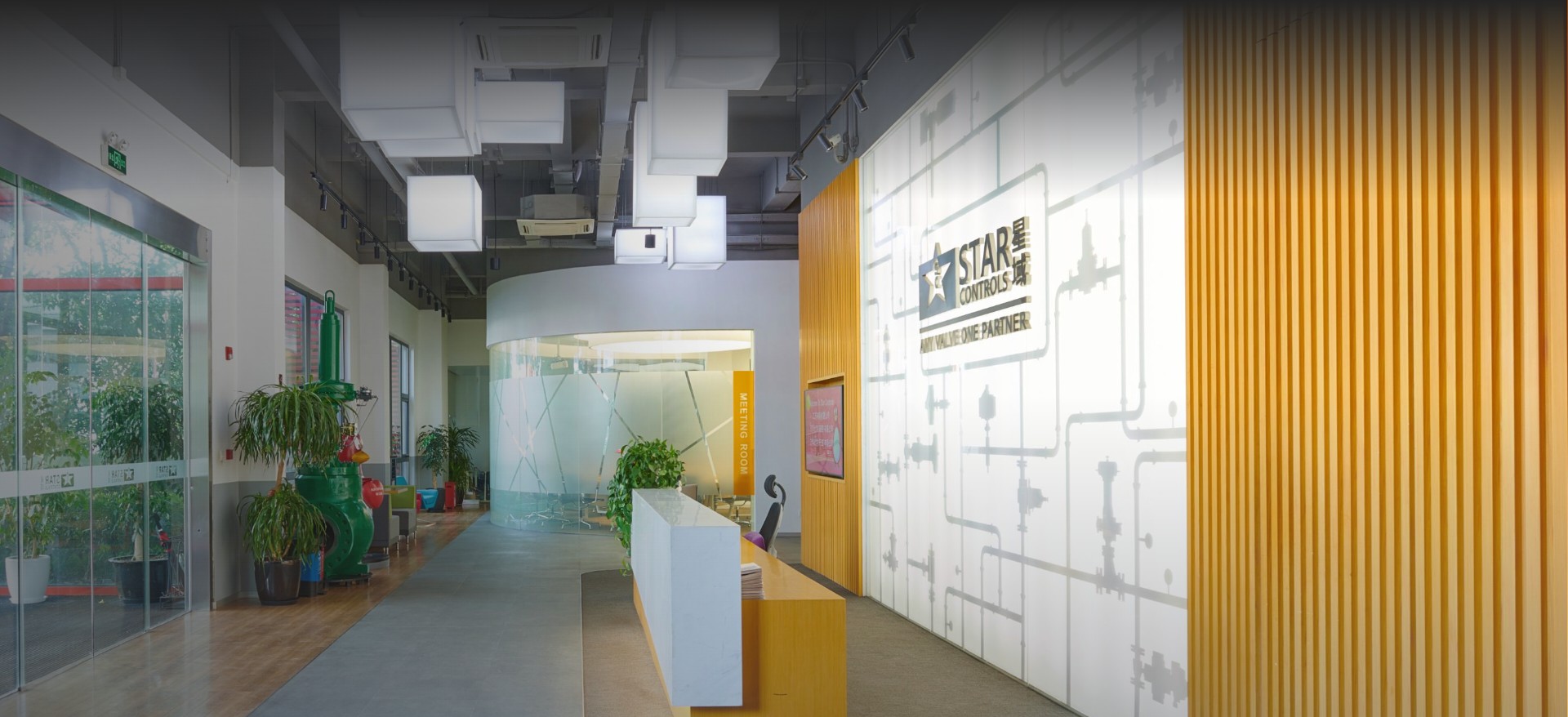 走进开云足球（中国）