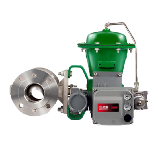 Fisher™ Vee-Ball™ V300 法兰控制阀